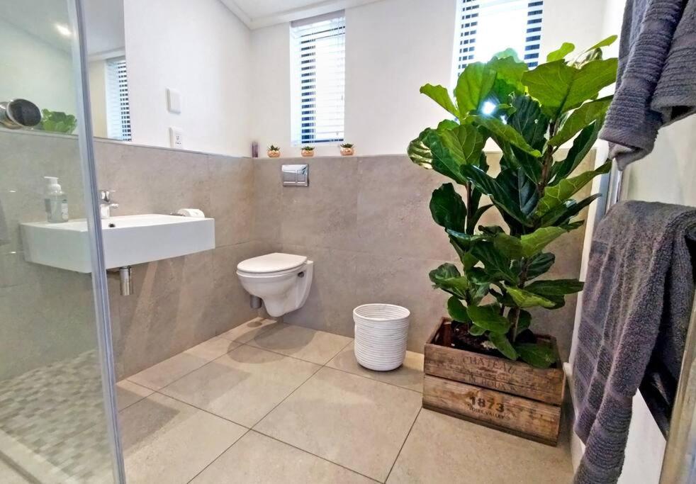 Central Modern Studio Apartment, Hermanus Waterfront Kültér fotó